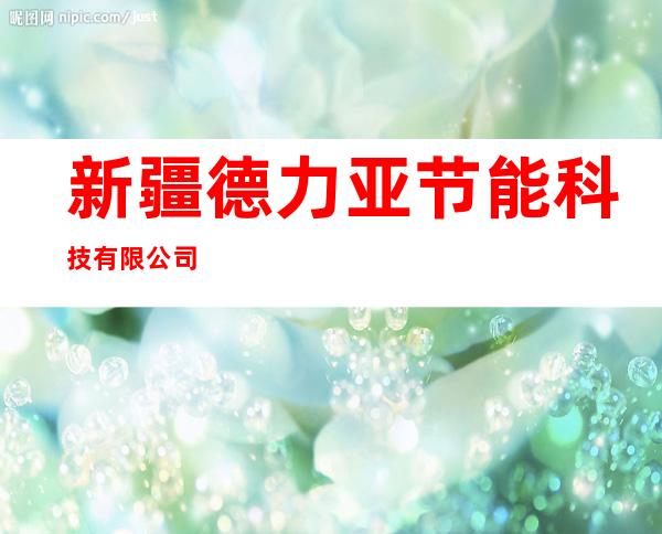 新疆德力亚节能科技有限公司